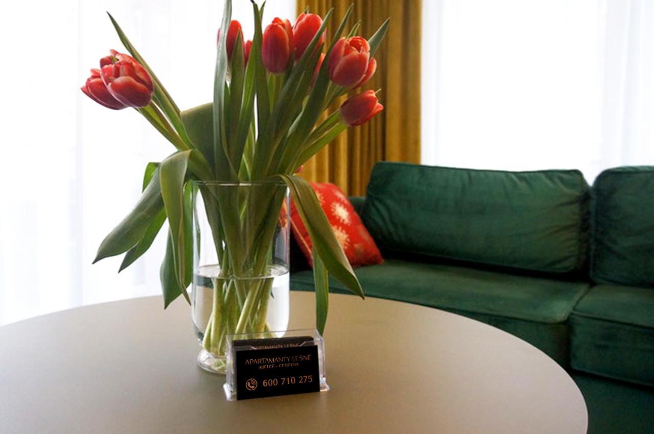 Lesny No 5 ,garaz W Cenie Apartment Kielce